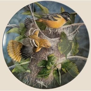 Knowles Baltimore Oriole Collector Plate Vintage 1985 Kevin Daniel Bird Artwork